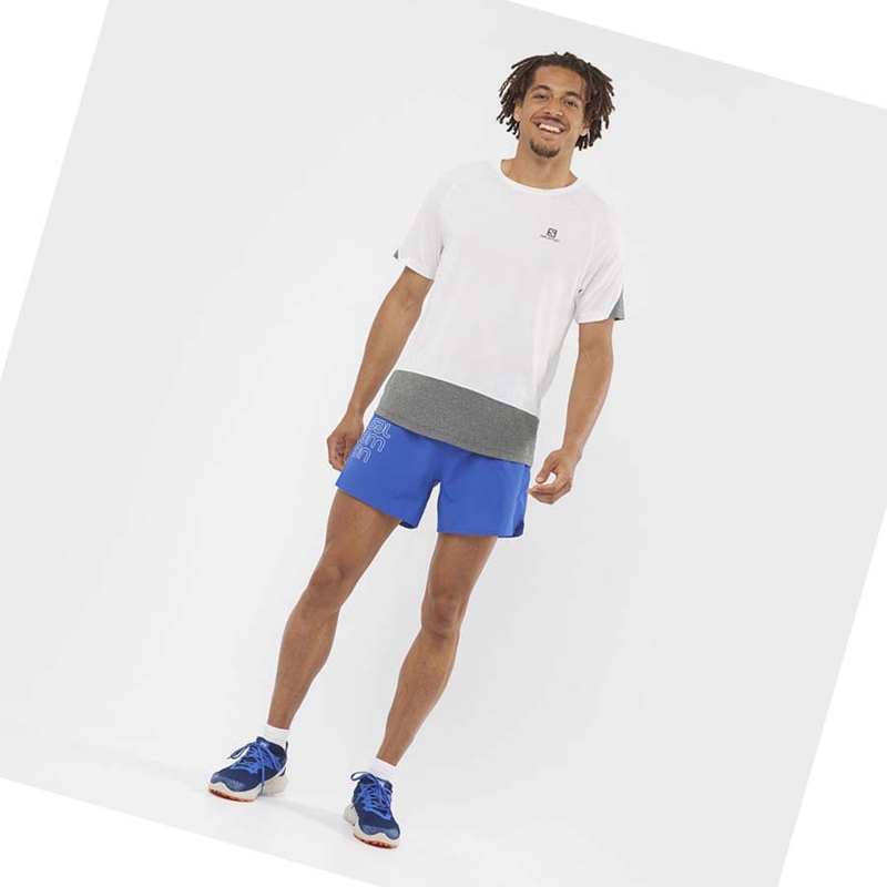 Salomon CROSS 5'' Shorts Herr Blå | 32854-ZLYF