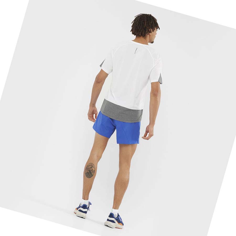 Salomon CROSS 5'' Shorts Herr Blå | 32854-ZLYF