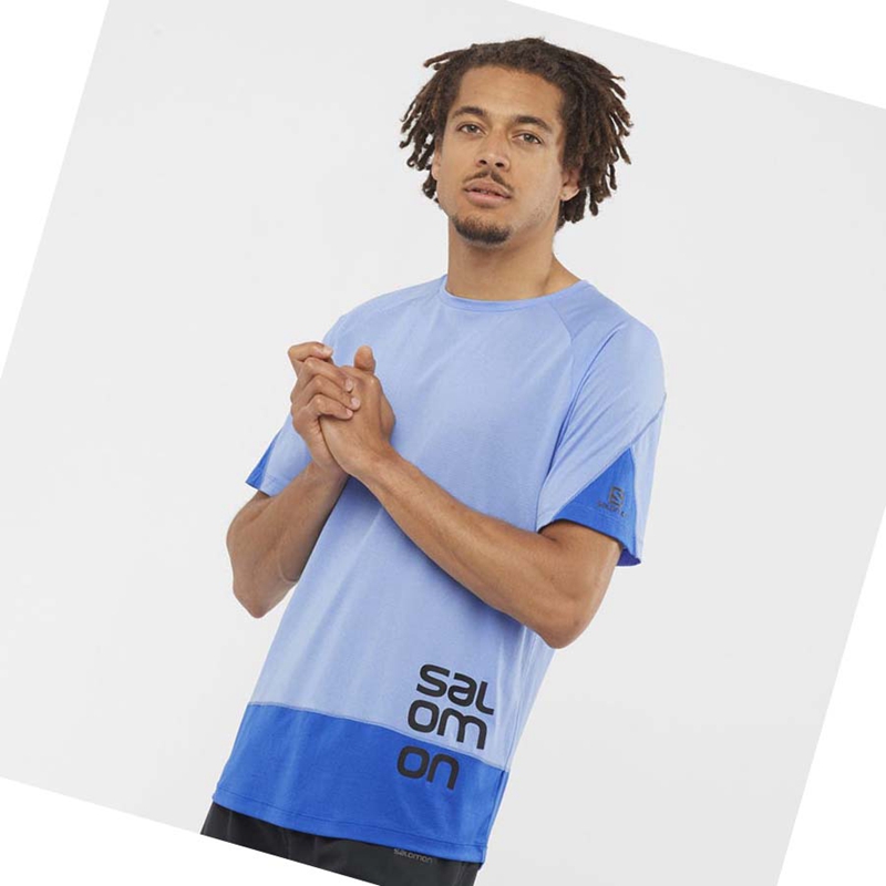 Salomon CROSS RUN GRAPHIC T-shirt Herr Blå | 59674-YPEC