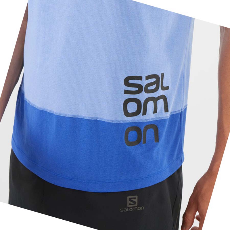 Salomon CROSS RUN GRAPHIC T-shirt Herr Blå | 59674-YPEC