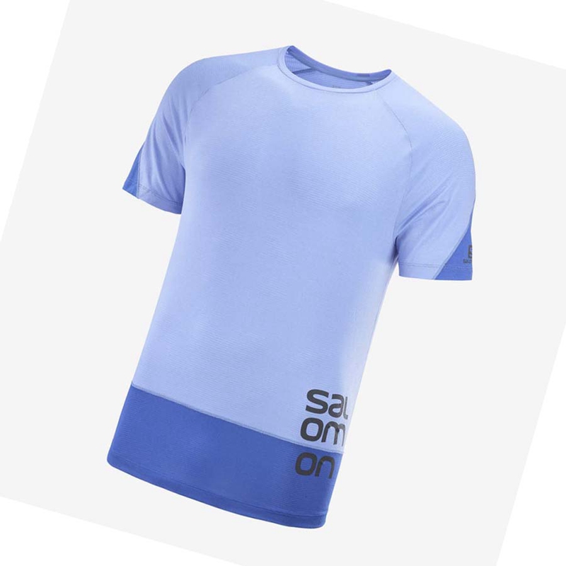 Salomon CROSS RUN GRAPHIC T-shirt Herr Blå | 59674-YPEC