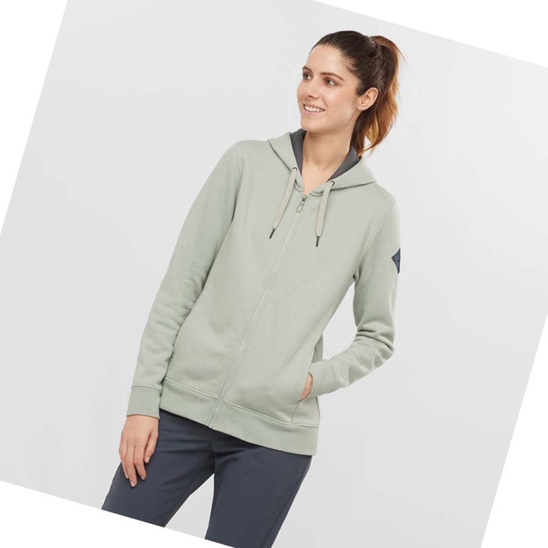 Salomon ESSENTIAL WARM SALOMON Hoodie Dam Beige | 87512-BCYF