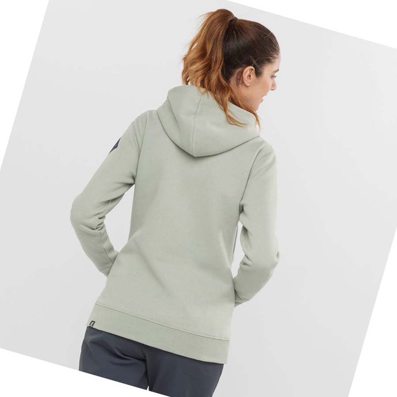 Salomon ESSENTIAL WARM SALOMON Hoodie Dam Beige | 87512-BCYF