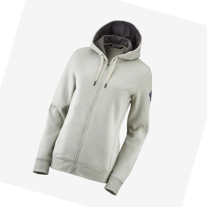 Salomon ESSENTIAL WARM SALOMON Hoodie Dam Beige | 87512-BCYF