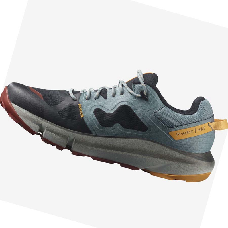 Salomon PREDICT HIKE GORE-TEX Vandringsskor Herr Svarta Orange | 26031-OFIL