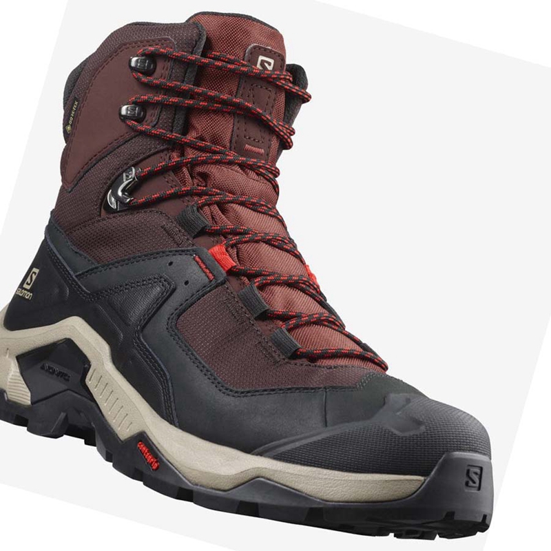 Salomon QUEST ELEMENT GORE-TEX Vandringsskor Herr Grå Röda | 74560-INGZ