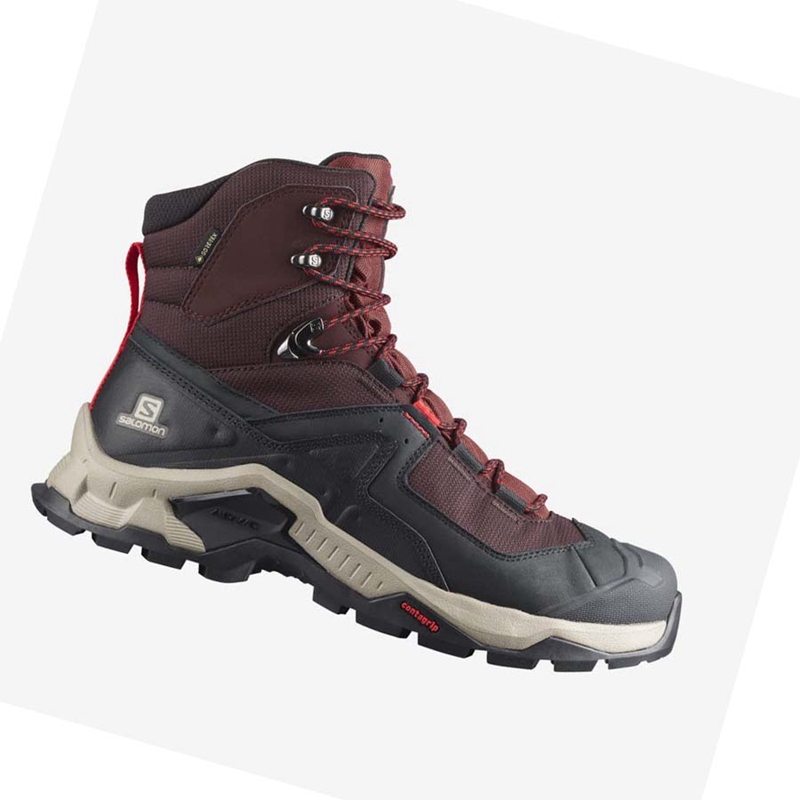 Salomon QUEST ELEMENT GORE-TEX Vandringsskor Herr Grå Röda | 74560-INGZ