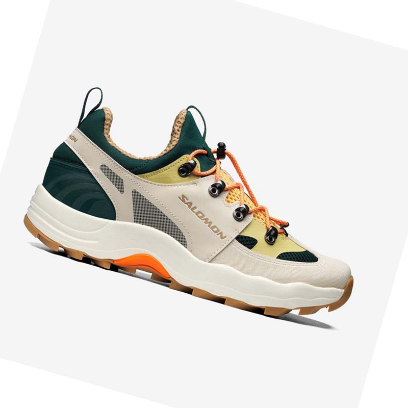 Salomon RAID WIND Sneakers Dam Beige | 78024-YPHL