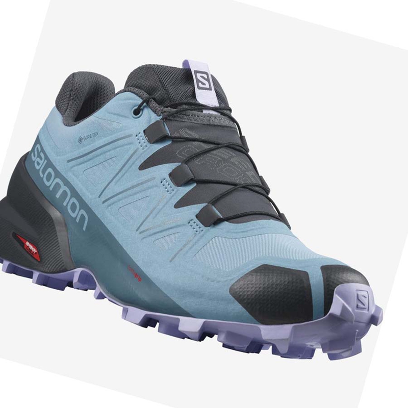 Salomon SPEEDCROSS 5 GORE-TEX Trail löparskor Dam Bruna | 89571-WKRN