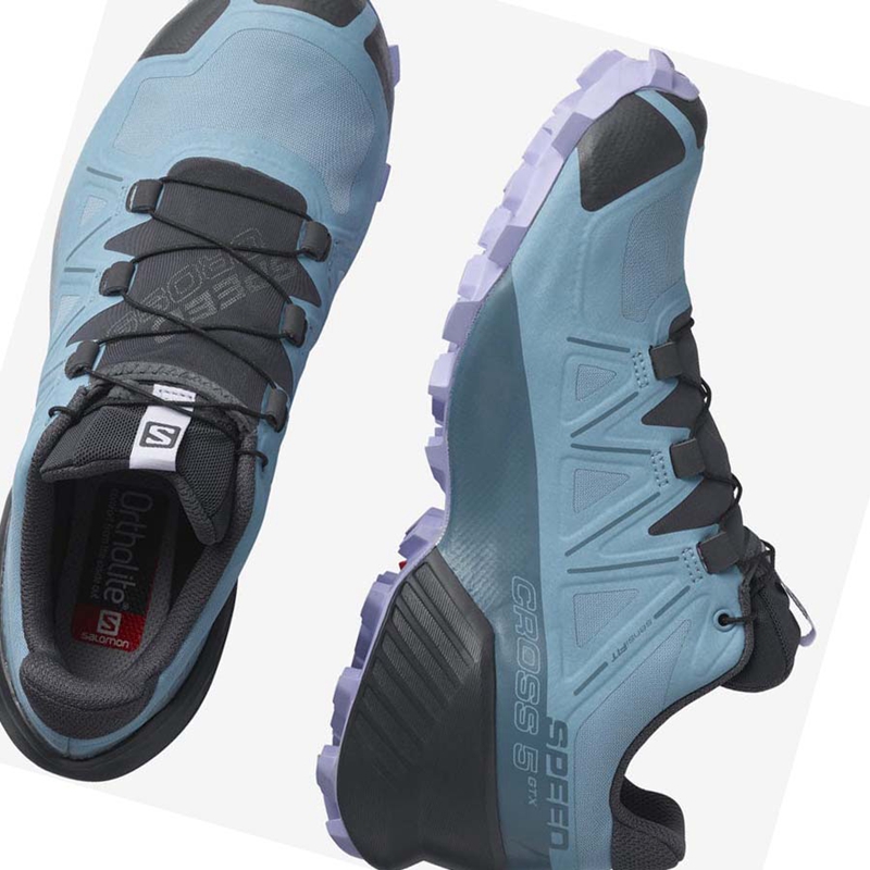 Salomon SPEEDCROSS 5 GORE-TEX Trail löparskor Dam Bruna | 89571-WKRN