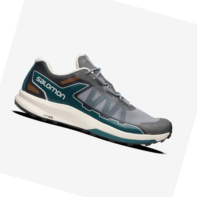 Salomon ULTRA RAID Sneakers Dam Grå | 73645-QNUD