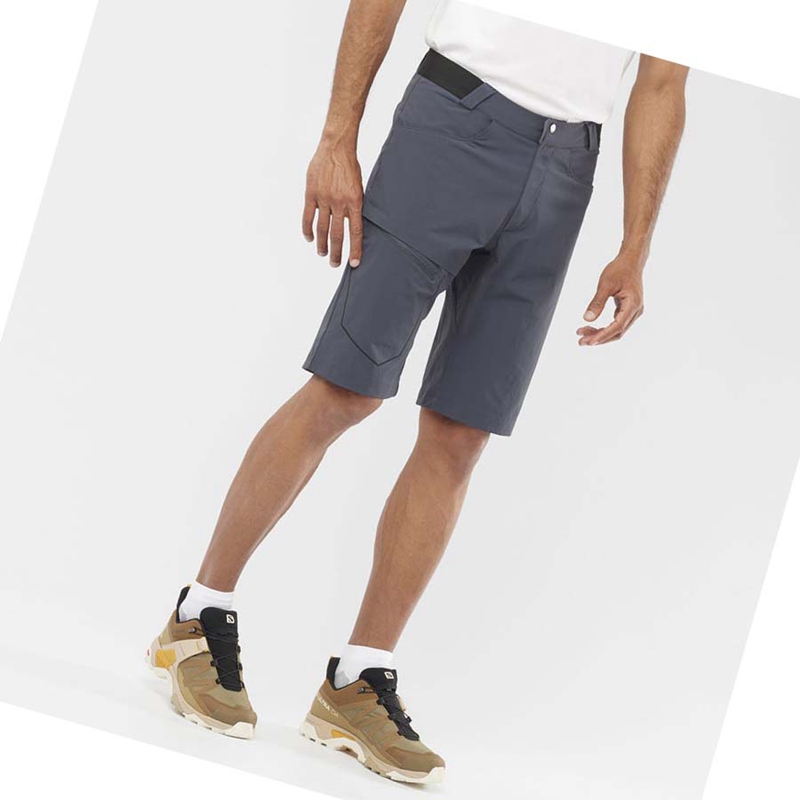 Salomon WAYFARER Shorts Herr Grå | 51392-CUNI