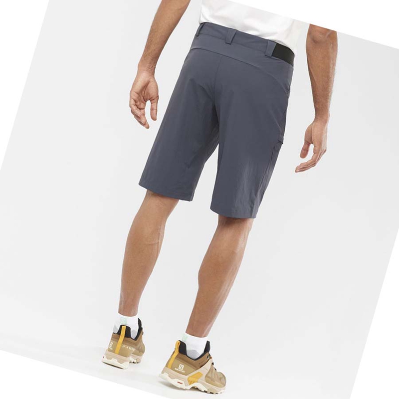 Salomon WAYFARER Shorts Herr Grå | 51392-CUNI