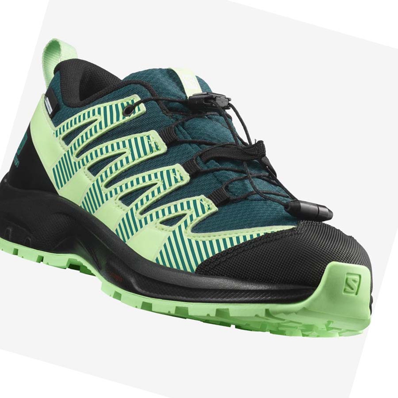 Salomon XA PRO V8 CLIMASALOMON™ WATERPROOF Vandringsskor Barn Gröna | 38091-MJKS