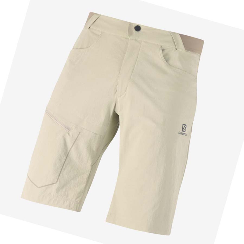 Salomon WAYFARER Shorts Herr Beige | 19207-EVSQ