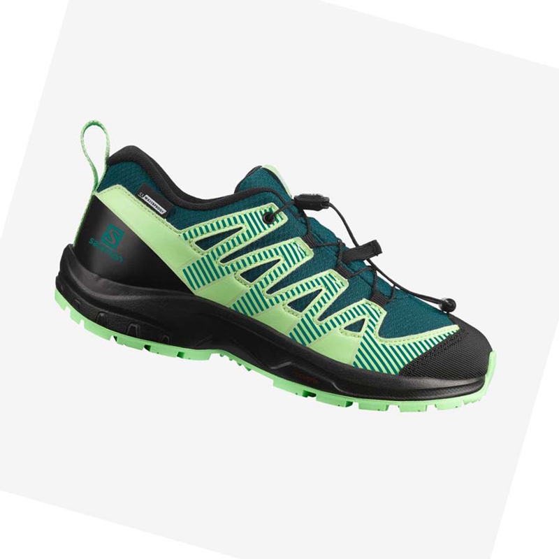 Salomon XA PRO V8 CLIMASALOMON™ WATERPROOF Vandringsskor Barn Gröna | 38091-MJKS