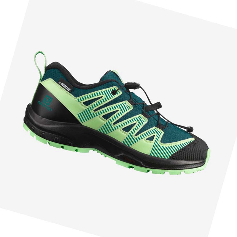 Salomon XA PRO V8 CLIMASALOMON™ WATERPROOF Trail löparskor Barn Gröna | 54392-XNPB